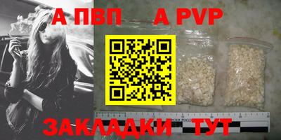 индика Ставрополь