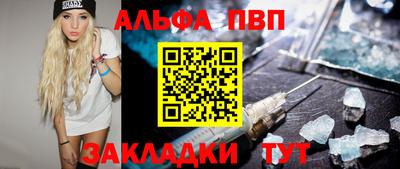 индика Ставрополь