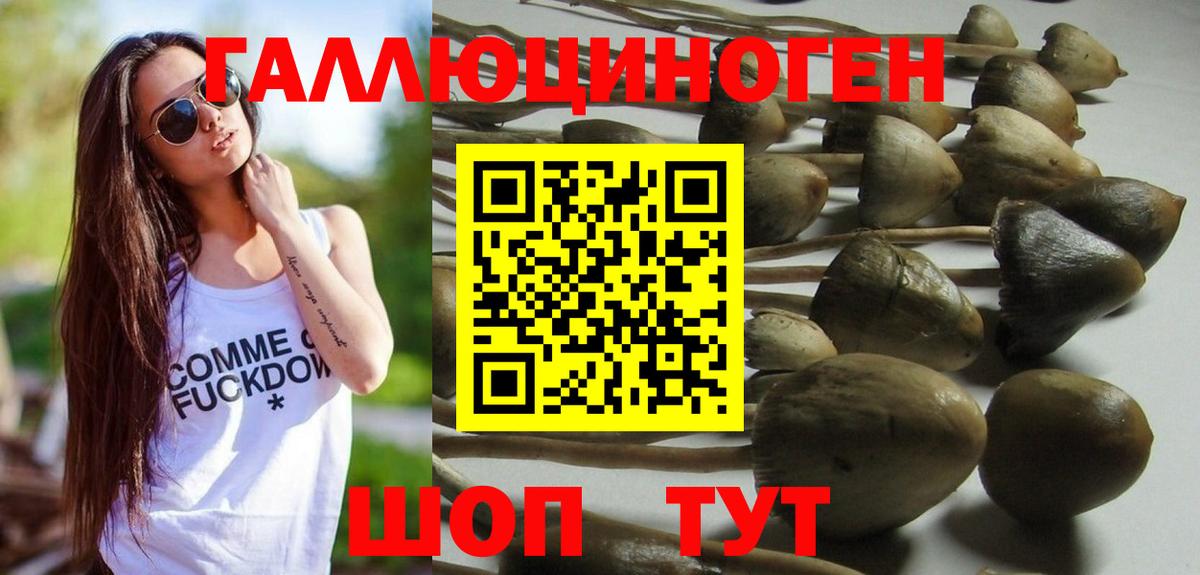 Псилоцибиновые грибы MAGIC MUSHROOMS Кандалакша